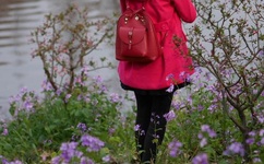 bl车车好快的车车p网站